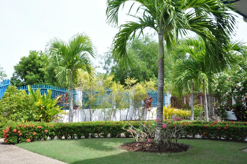 Olivia Resort Serviced Apartments And Bungalows Panglao-stad Kamer foto